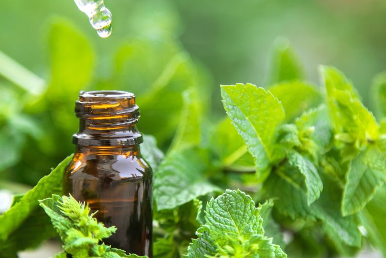Unlocking the Skin Soothing Secrets of Peppermint Essential Oil